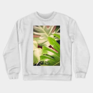 Botanical Vibes Crewneck Sweatshirt